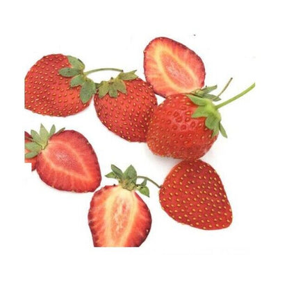 Dried Fruits Pressed Strawberry Meat Slices Plant Herbarium DIY Craft Decor 5Pcs