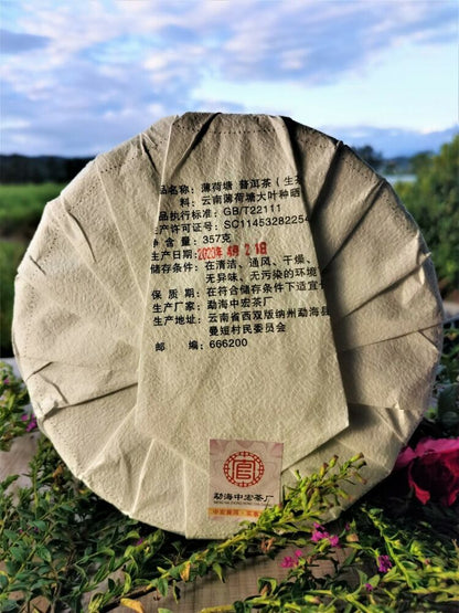 357g Ancient Tree Pu'er Green Tea Zhonghong India Mint Tang Pu'er Cha Tea
