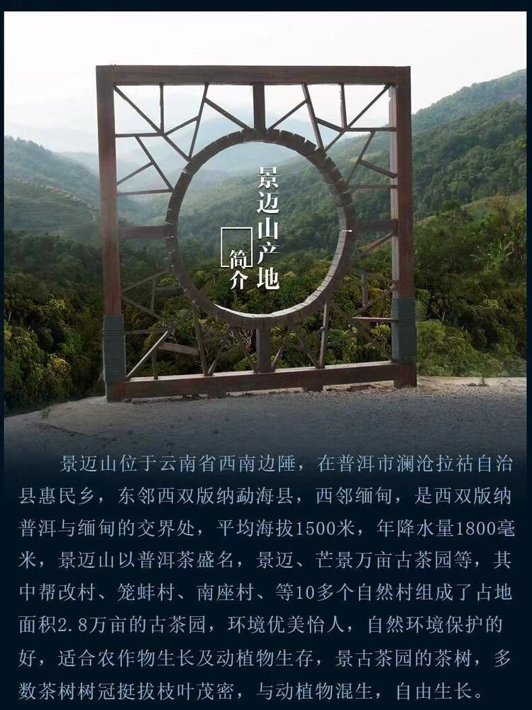 Pu-Erh, Sheng Jiayuan, Jingmai Mountain (pure material of ancient trees), 2017 Y, 357 g.