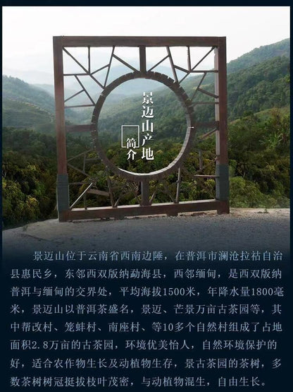 Pu-Erh, Sheng Jiayuan, Jingmai Mountain (pure material of ancient trees), 2017 Y, 357 g.