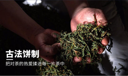 Pu-Erh, Ume Fukumura, Footprint, 2011y, 357g, Raw