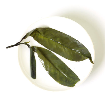 Bitter Herbal Green Tea Organic Spike Largeleaf HELLOYOUNG Premium Needle Kuding