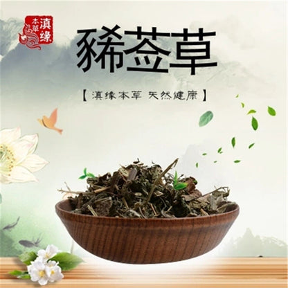 Medicinal Chinese Dried Xi Xian Cao (xi qian cao) /Siegesbeckia 100% Natural Tea