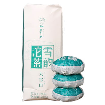 500g Lincang Big Snow Mountain DR. PU'ER TEA Xueyun Tuocha Puer Raw Tea