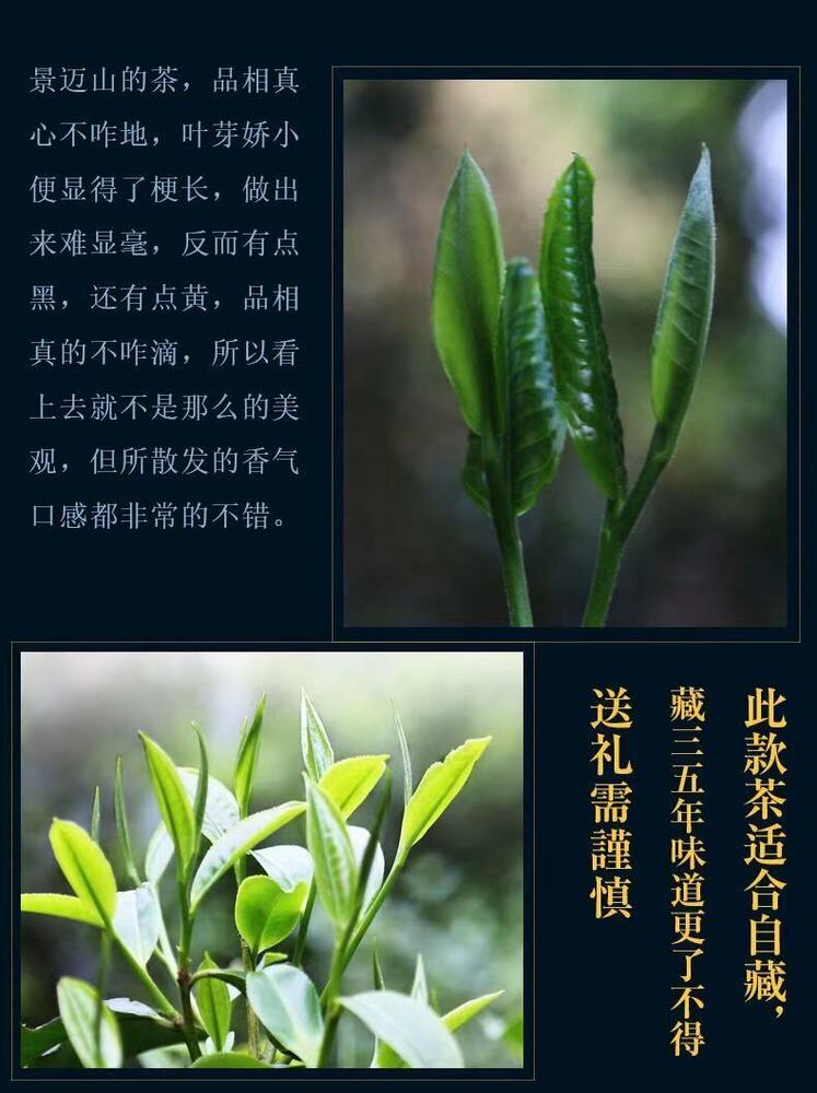 Pu-Erh, Sheng Jiayuan, Jingmai Mountain (pure material of ancient trees), 2017 Y, 357 g.