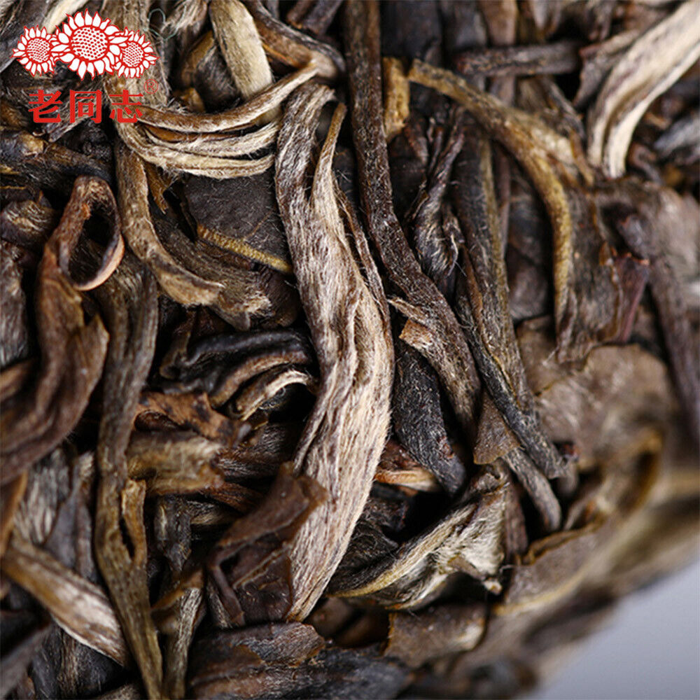 Haiwan 2019 Sheng Puer Tea Chinese Batch 191 Shen Shan Lao Shu Raw Puer Tea 500g