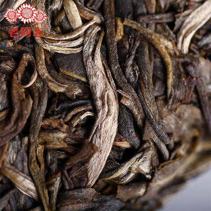 Haiwan 2019 Sheng Puer Tea Chinese Batch 191 Shen Shan Lao Shu Raw Puer Tea 500g
