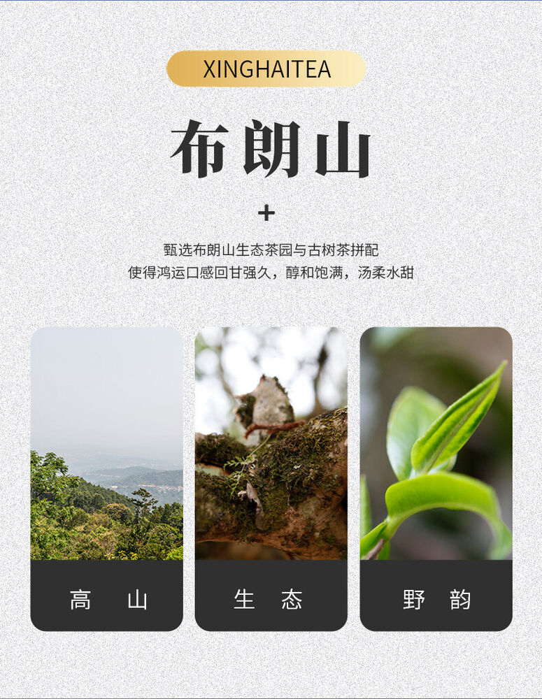 Pu-Erh, Xinghai, Hongyun Tianxia, 2020y,357g,Raw