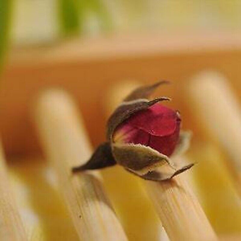 Rose Buds,rose Flowers,gold Rose Flowers Buds,flower Tea Blooming Flower Tea