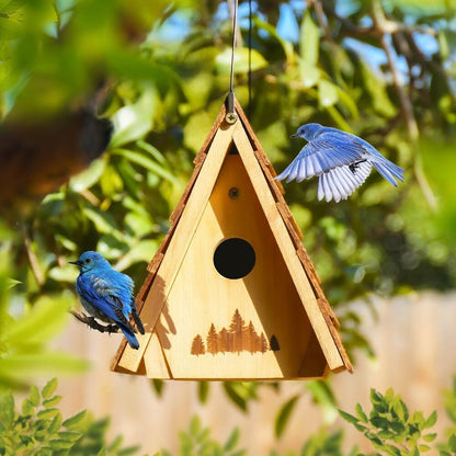 Bamboo Cedar Wooden Bird House Lifetime Lasting and Paintable Hanging Set of 2