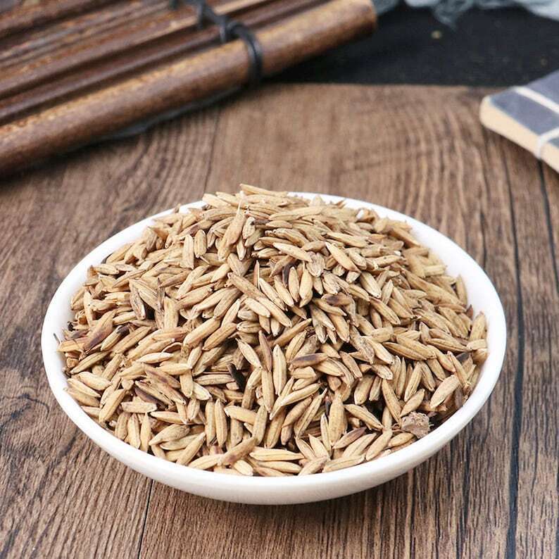 Organic Herbal Rice-grain Sprout Roasted Fructus Oryzae Germinatus Great Quality