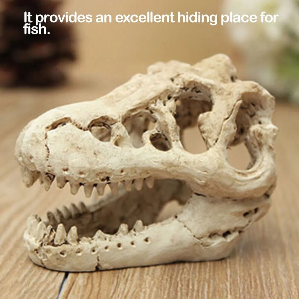 Aquarium Decor Resin Crocodile Skull Terrarium Fish Tank Ornaments 8.5x5.5x4.5cm