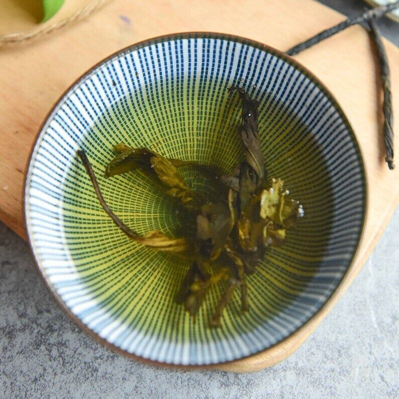 Premium Leaf of Chinese Holly Herbal Tea Leaf of Broadleaf Holly High Quality