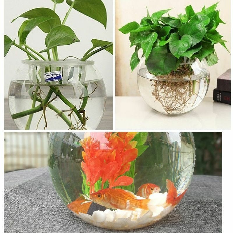 Goldfish Bowl Desktop Round Aquarium 2.8/4L Transparent Plastic Plant Fish Tanks
