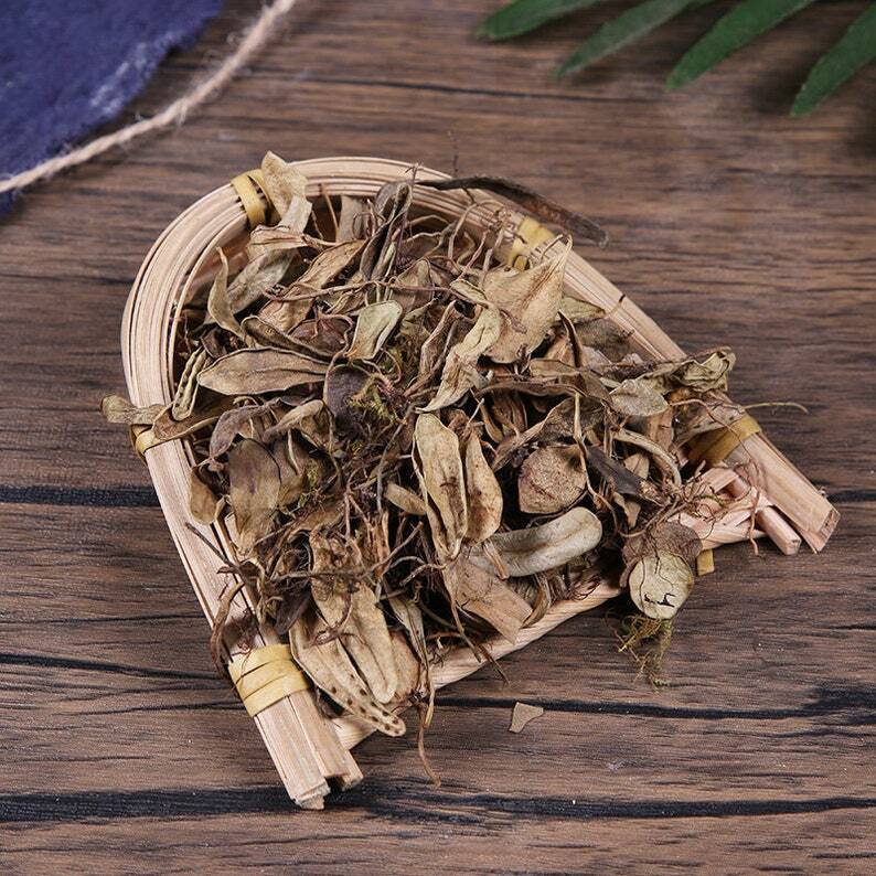 Herbal Lepidogrammitidis Drymoglossoidis Baoshilian Healthy Tea Great Quality