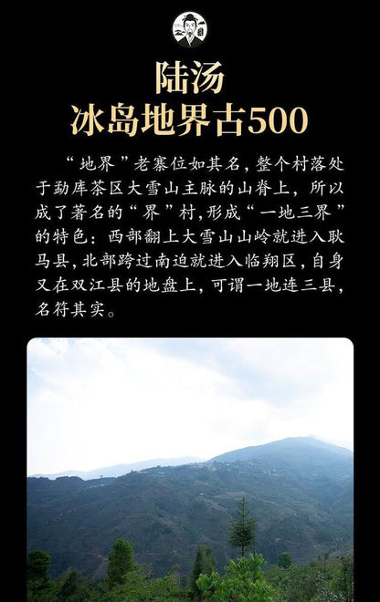 Pu-Erh, Lu Tang, Boundary, 2020y, 357g, Raw