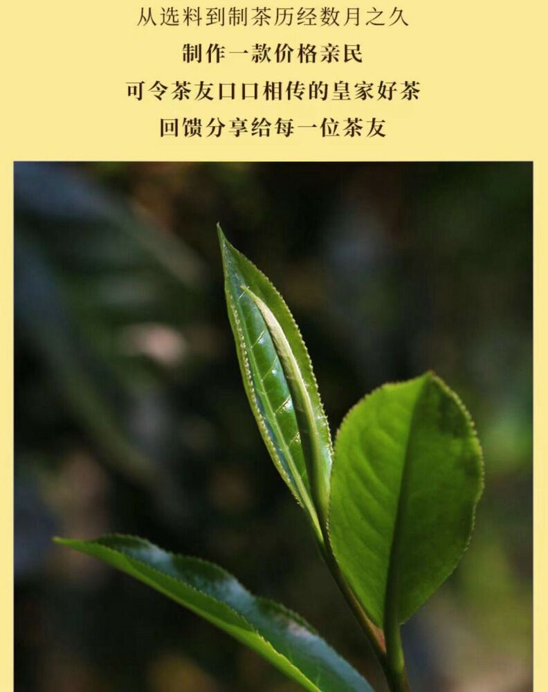 Pu Erh, Sheng Jiayuan, Kunlushan, 2020y, 357g