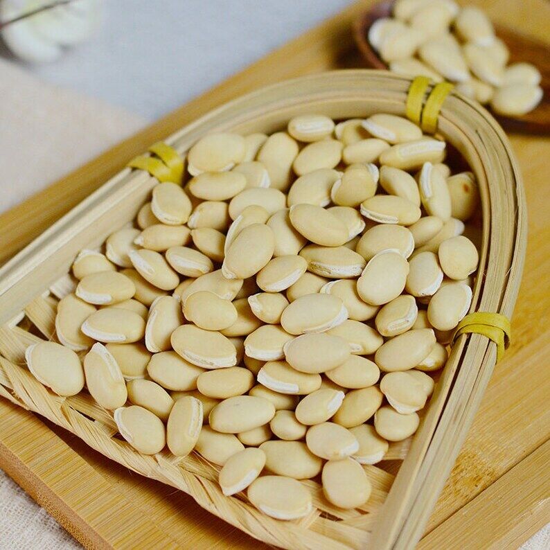Premium Semen Lablab Album White Lablab Bean Dolichos Lablab Pure Natural Herb