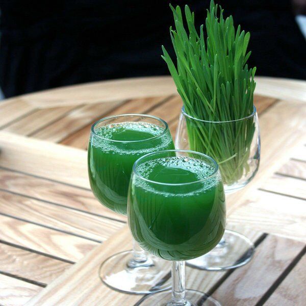 Organic EU Barley Grass Powder -(German Grown - Detox - Chlorophyll)