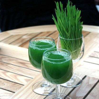 Organic EU Barley Grass Powder -(German Grown - Detox - Chlorophyll)