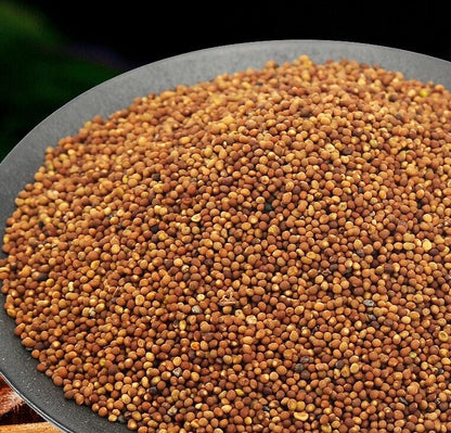 100% Natural Dried Dodder Seed tu si zi * Chinese Herb Tea