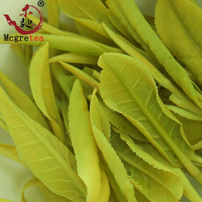 New Mao Feng Tea High Quality Early Spring Fresh Maofeng Chinese Tea 250g