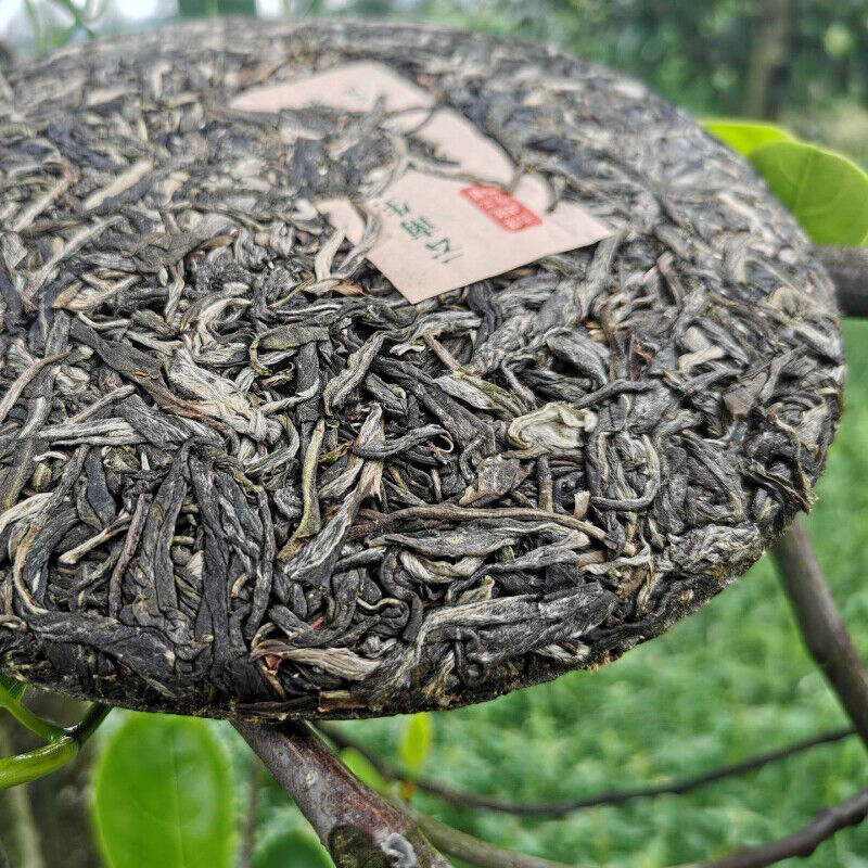 Organic Green Tea Cake Chinese Tea Health Care 357g Natural Arbor Cha Pu'er Tea