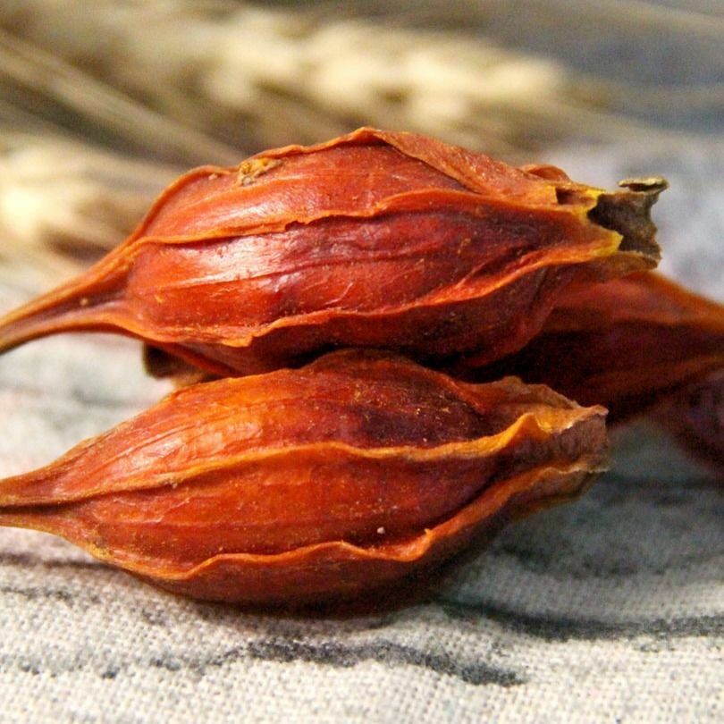 100% Chinese Ecology Herbs Particles Natural Cape Jasmine Fruit Gardenia Zhi Zi