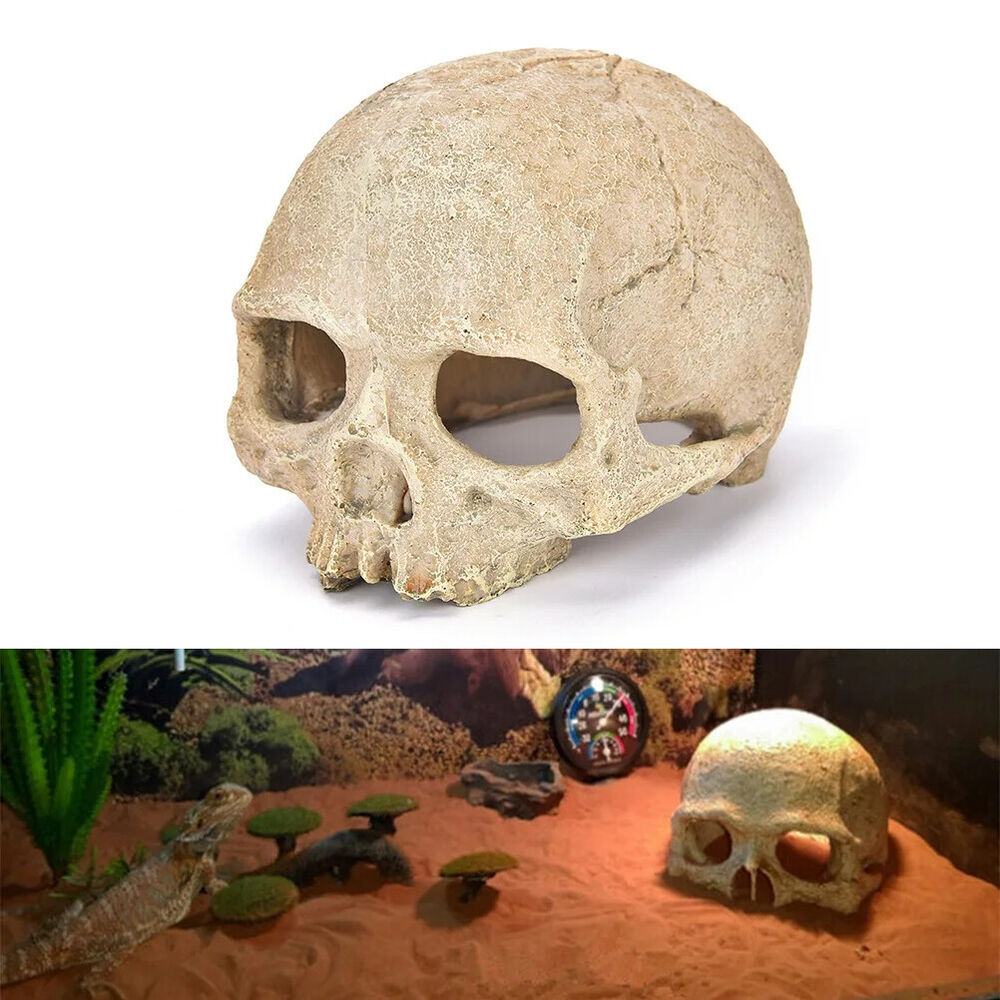 Simulation Head Skeleton Aquarium Resin Decorations Skull Bone Reptile Hide Cave