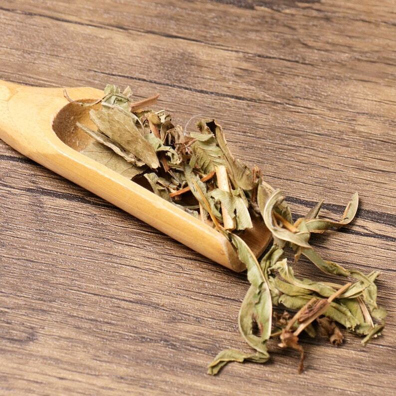 Organic Herbal Shortleaf Kyllinga Herb Herbal Kyllingae Great Quality