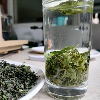 Chinese Guizhou Du Yun Mao Jian Spring Tea Fishhook Maojian Green Tea 250g