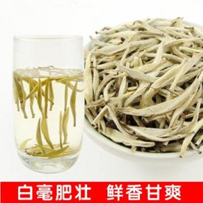 100g Silver Needle Tea Loose Leaf Tea Premium White Tea Anti-old Organic tea