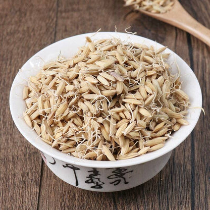 Organic Herbal Rice-grain Sprout Fructus Oryzae Germinatus Great Quality