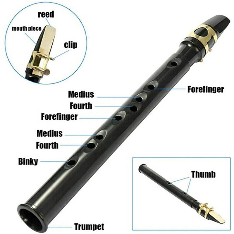 8 Hole Mini Portable Saxophone Pocket Sax C Key Instrument with Carrying Bag