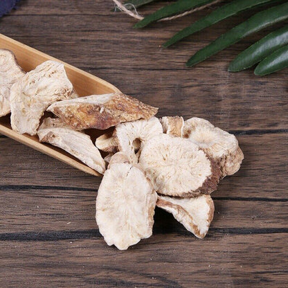 Herbal Cichorii Cichorium Glandulosum Root Radix Cichorium Intybus Great Quality