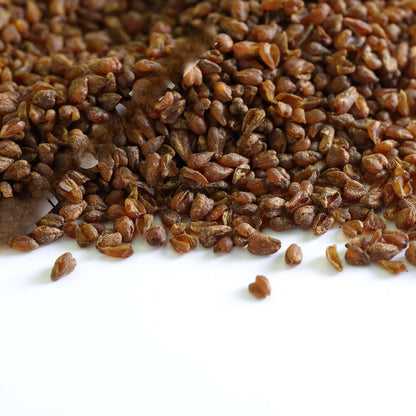 100g/3.52oz Premium Roasted Tartary Buckwheat Grain Black Herbal Tea