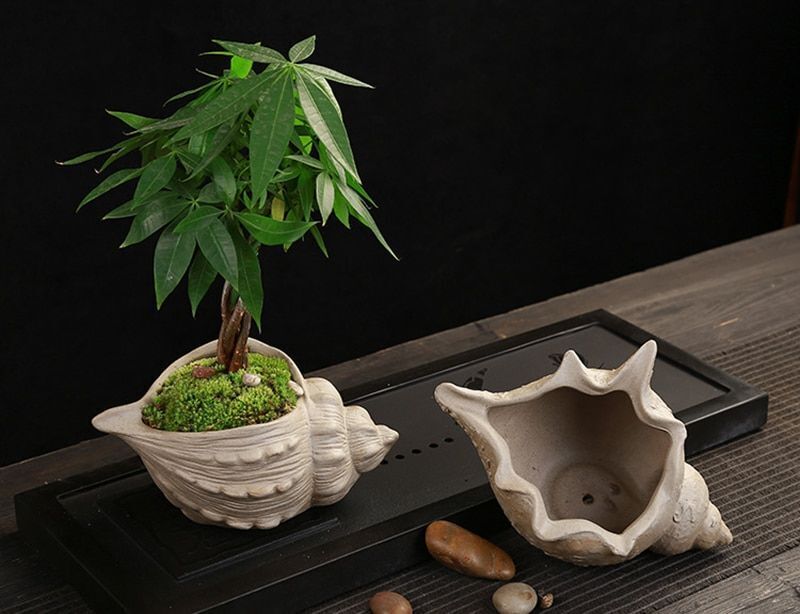 Flower Pot White Pottery Shell Shaped Succulent Plant Holder 21.5x11.5cm Ceramic