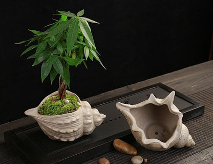 Flower Pot White Pottery Shell Shaped Succulent Plant Holder 21.5x11.5cm Ceramic
