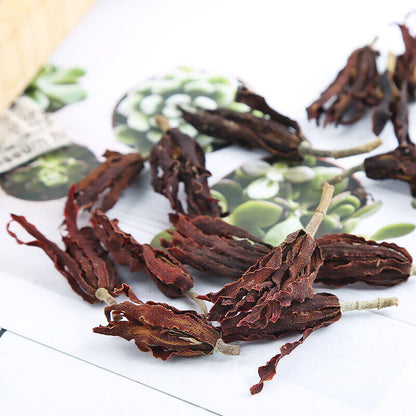 Bulk Dried Magnolia Flower Agricultural White Magnolia Flower Flower Tea 500g