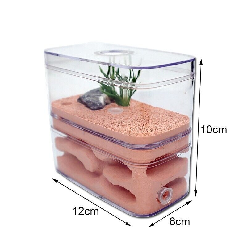 Ant Farm PC Shell+Gypsu Nesting Plaster Insects Box Pet Anthill Castle 12x6x10cm