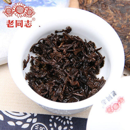 "Winter" Dong Xue Pu Erh Tea Pressed Tea Authentic Haiwan Cake 400g-