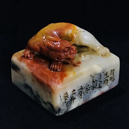 Chinese Natural Shoushan Stone Carved Statue beast Seal Figurine Collection Art