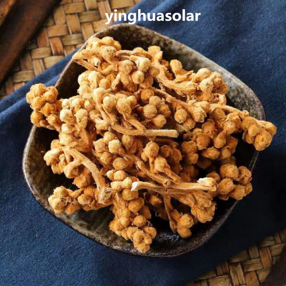 Loquat Flower Tea Relieving Cough Lung Nourishing 枇杷花风热感冒止咳润肺清热解毒维持新陈代谢改善补充能量