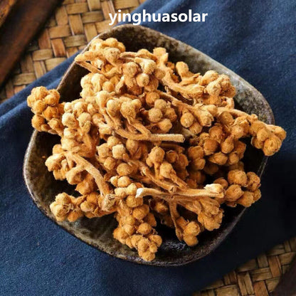 Loquat Flower Tea Relieving Cough Lung Nourishing 枇杷花风热感冒止咳润肺清热解毒维持新陈代谢改善补充能量