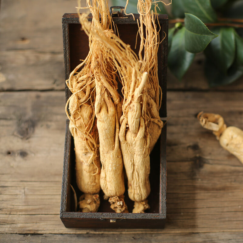 Dried Korean ginseng,Chinese Panax White Ginseng Roots 8 Years Old 1000grams