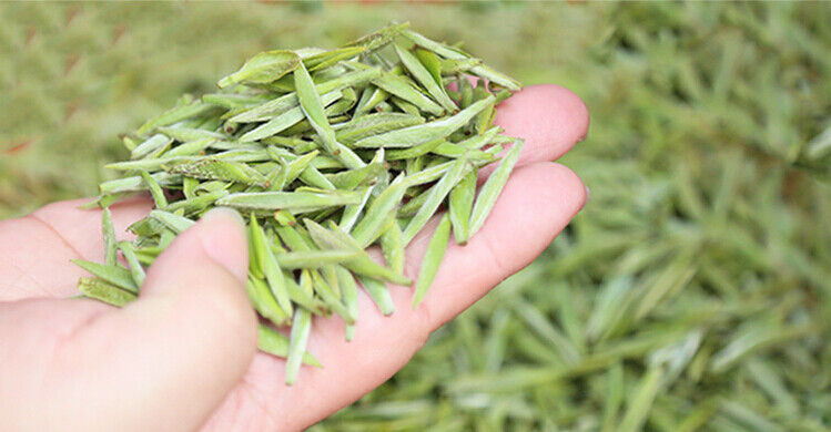 Chinese Tea Baihao Yin Zhen Fuding Silver Needle White Tea Famous Baihao YinZhen