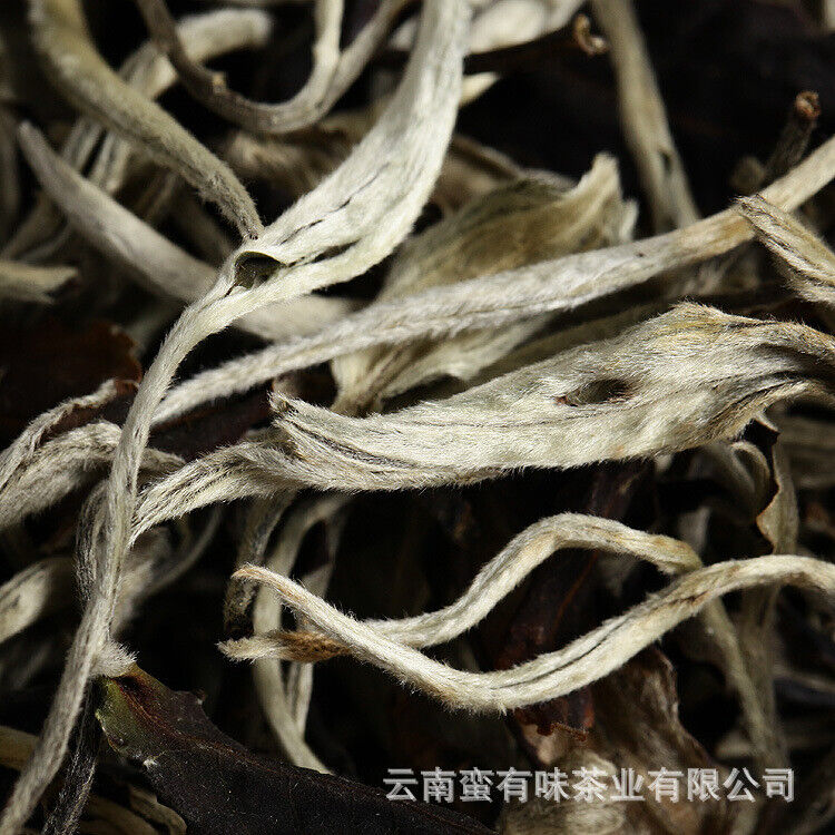 500g/1.1LB Organic Jinggu Yangta White Tea One Bud One Leaf Scattered Tea