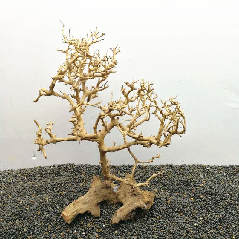 Aquarium Decoration Fish Tank Driftwood Moss Tree Purple Teak Wood Trunk 10-25cm