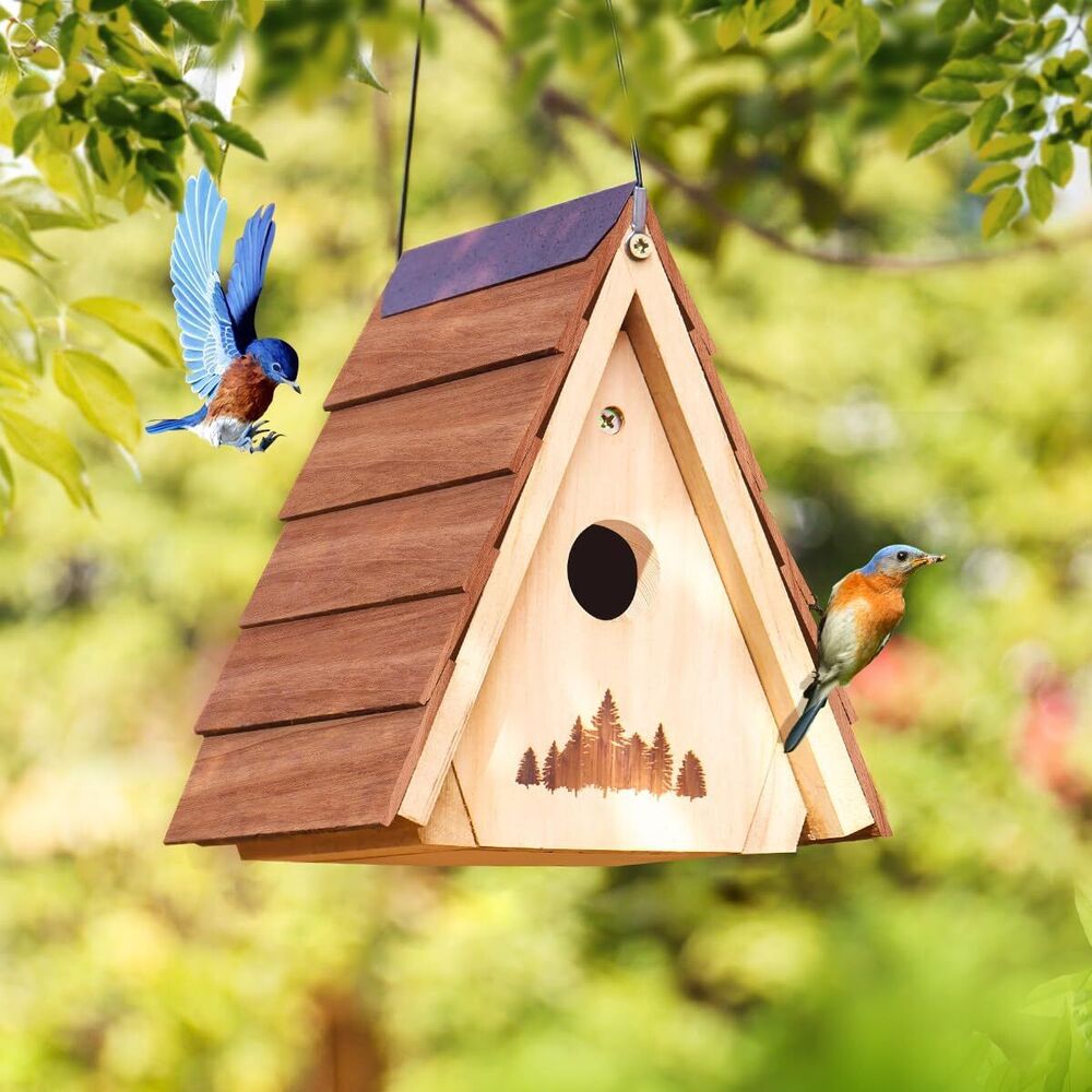 Bamboo Cedar Wooden Bird House Lifetime Lasting and Paintable Hanging Set of 2