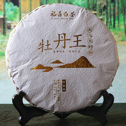 Fuding Authentic High Mountain White Tea Chinese Peony King White Tea Cake 300g